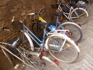 Ferrara bikes