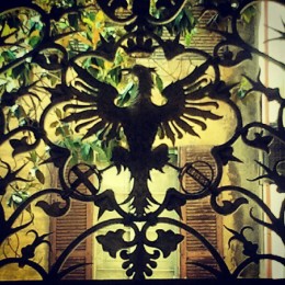 aquila sveva 2