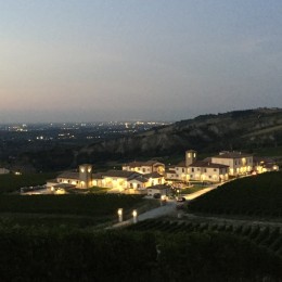IMG_3237