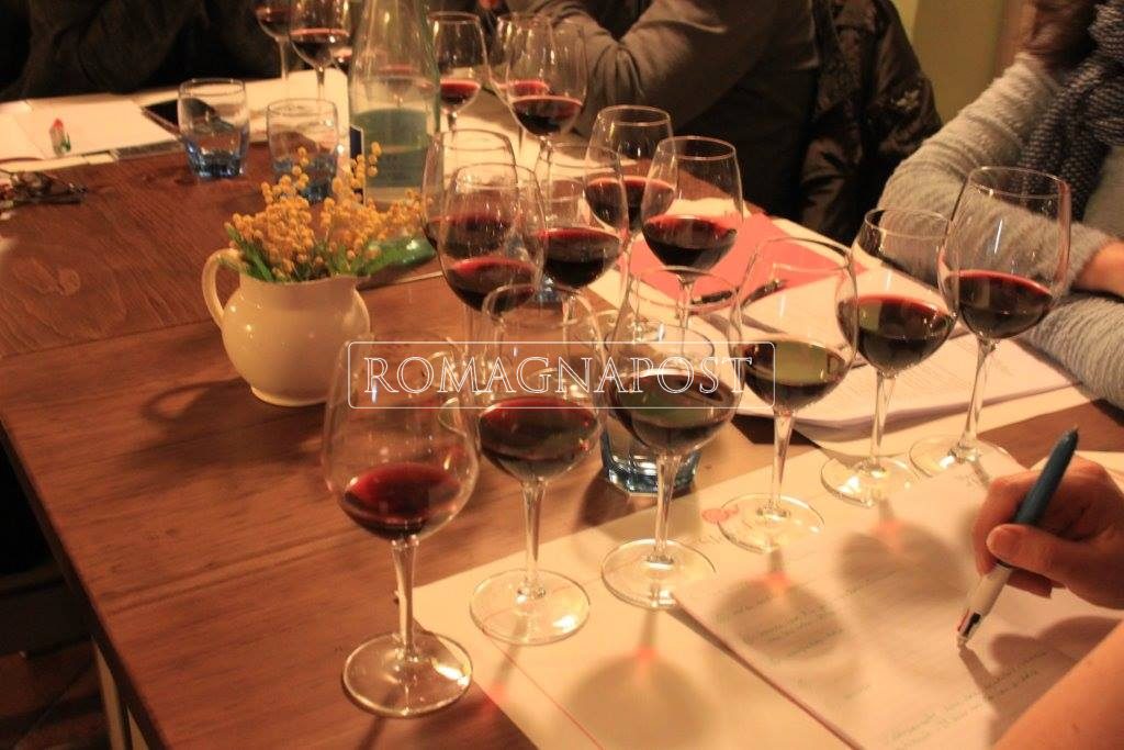 Vino Master of Food