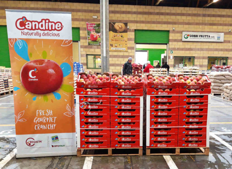 Candine_Mercati