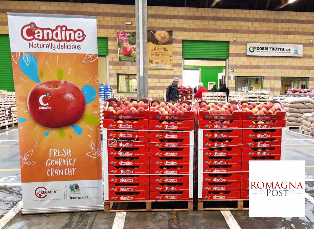 Candine_Mercati