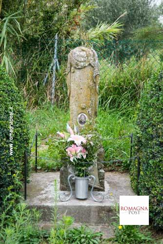 D1155_0013_DSC_3631_13162-1