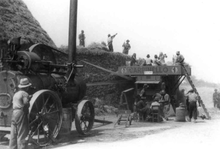 trebbiatura-meccanica-veduta-dinsieme_page-0001