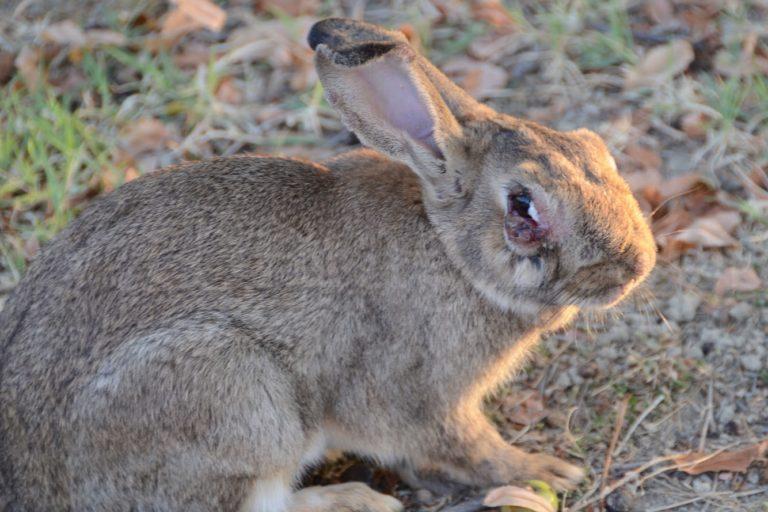 CFC0E57C-8463-463F-9CF2-3F0618FB2963