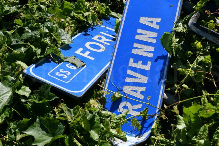 Ravegnana-bis, tre progetti per il futuro della strada