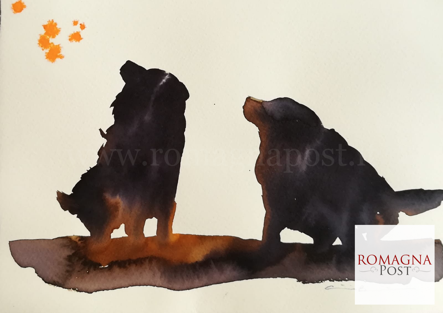 image-27-1528x1080.png?v=1603189825