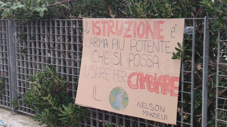 WhatsApp Image 2020-11-12 at 08.03.03