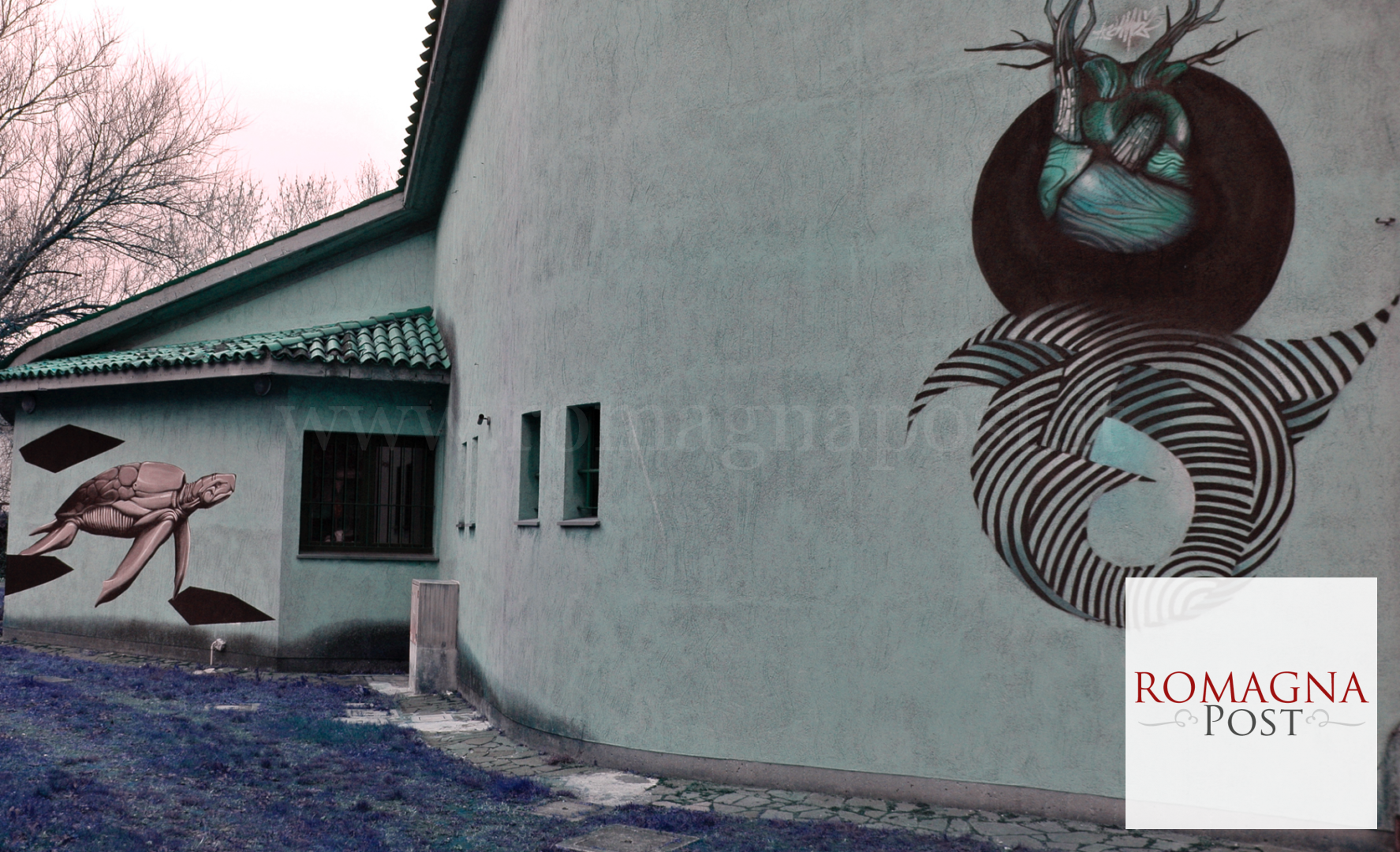 image-37-1775x1080.png?v=1608712511