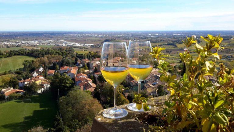 Bertinoro panorama con calici