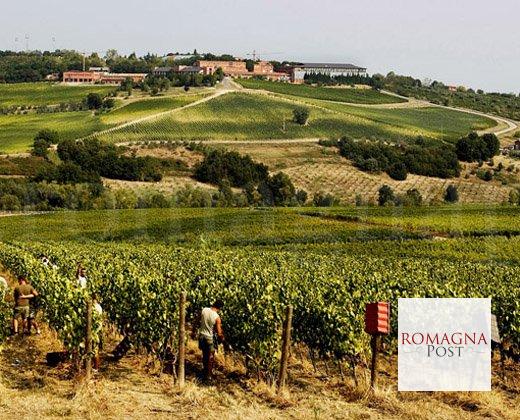 generated_sanpatrignano_Wrt2kb6.jpg.520x420_q85_crop_upscale