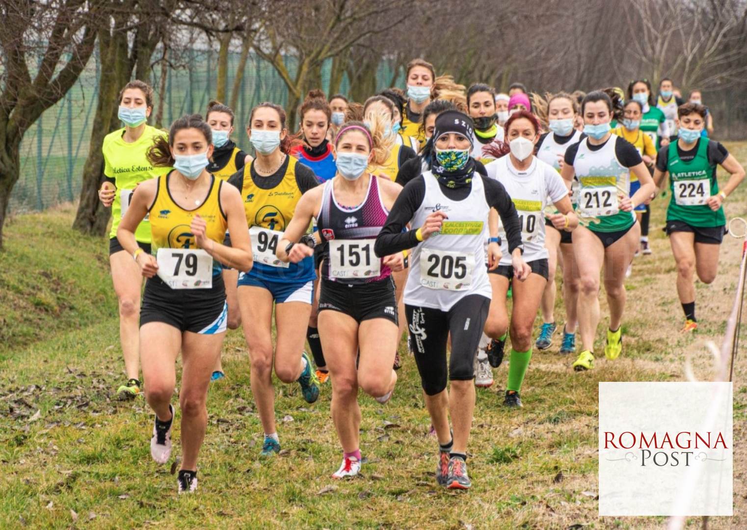 image-28-1522x1080.png?v=1614176664