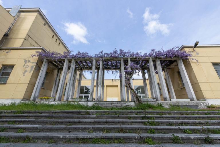 Glicine-ex-Collegio-Aeronautico-2