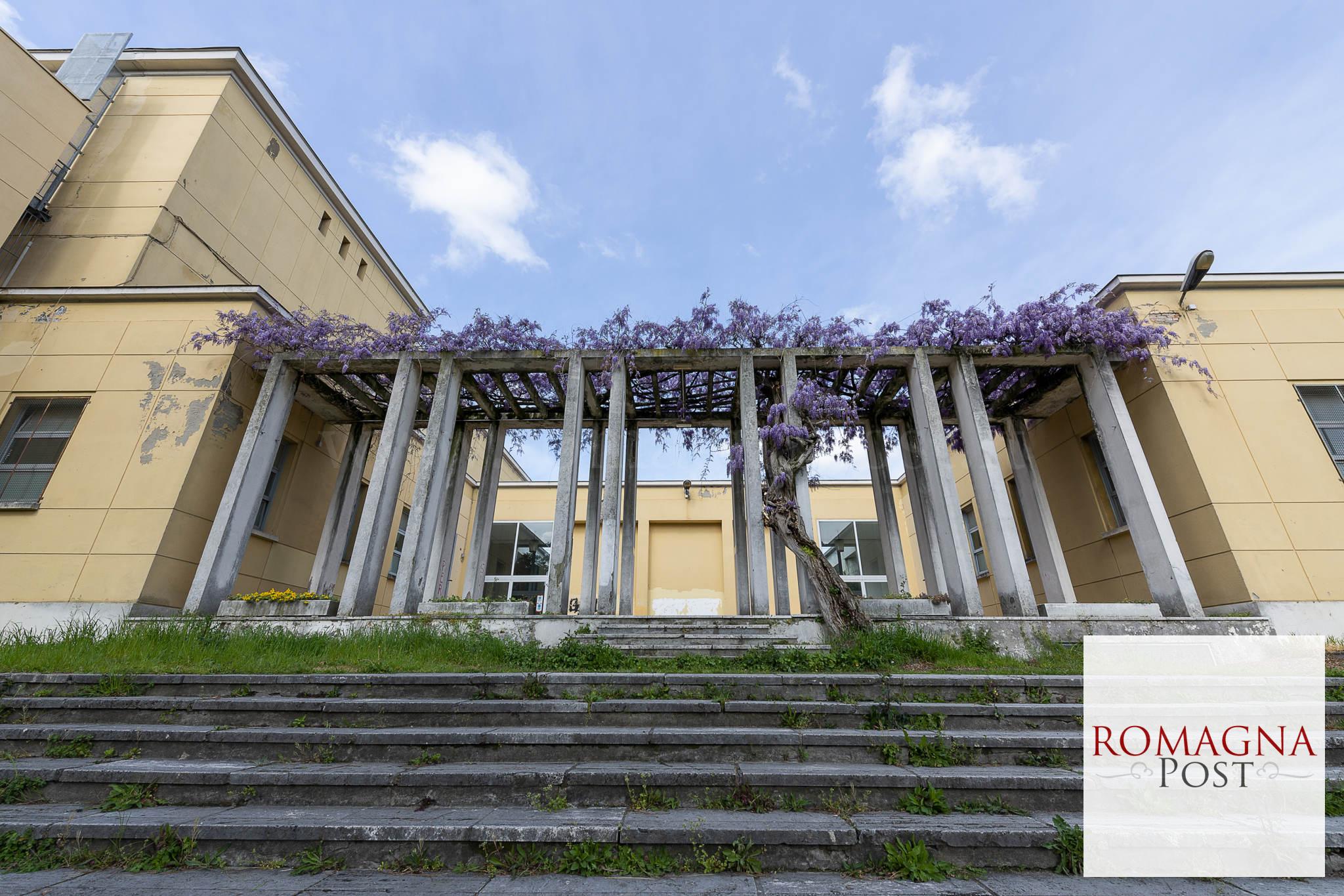 Glicine-ex-Collegio-Aeronautico-2
