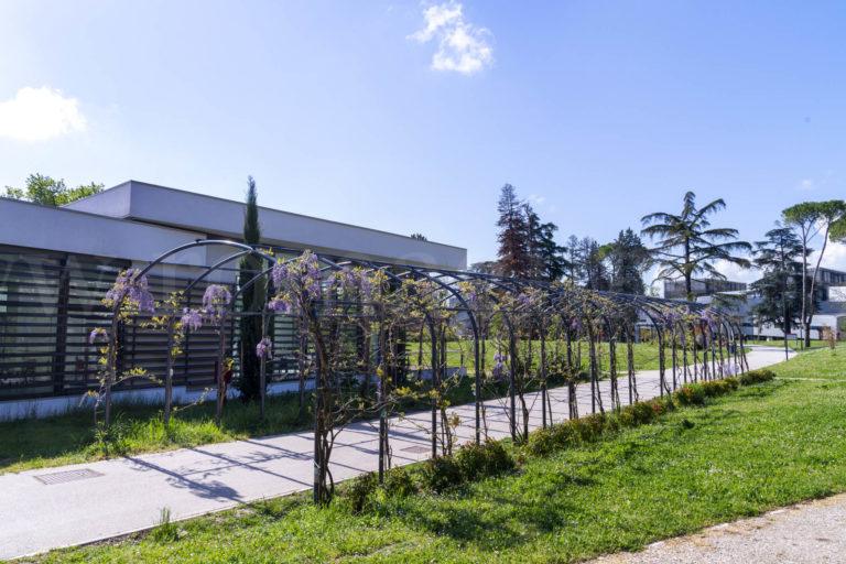 Glicini-Campus-Universitario-4