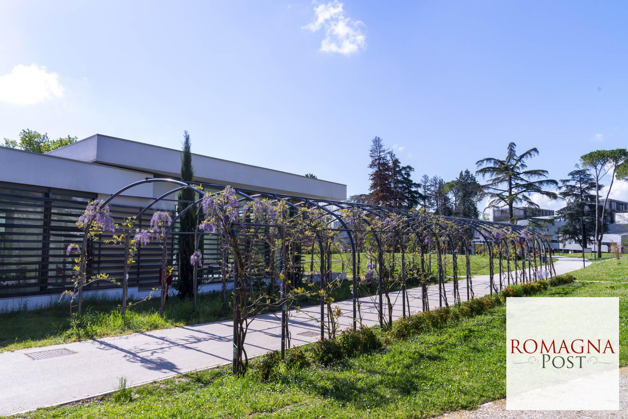Glicini-Campus-Universitario-4