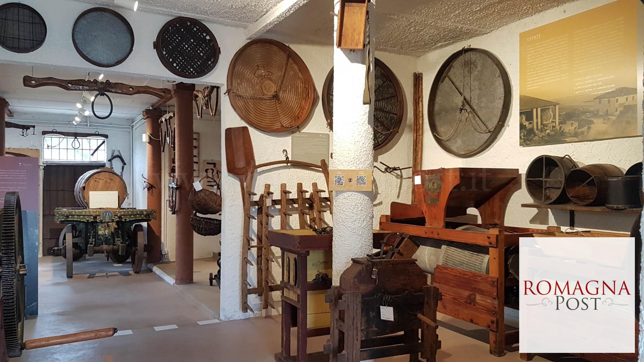 Interno Collezione