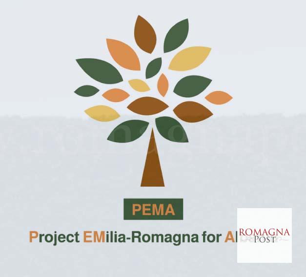 Copia di PMI40