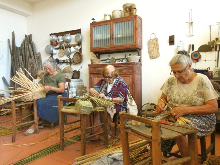 Laboratorio-intreccio-erbe-palustri