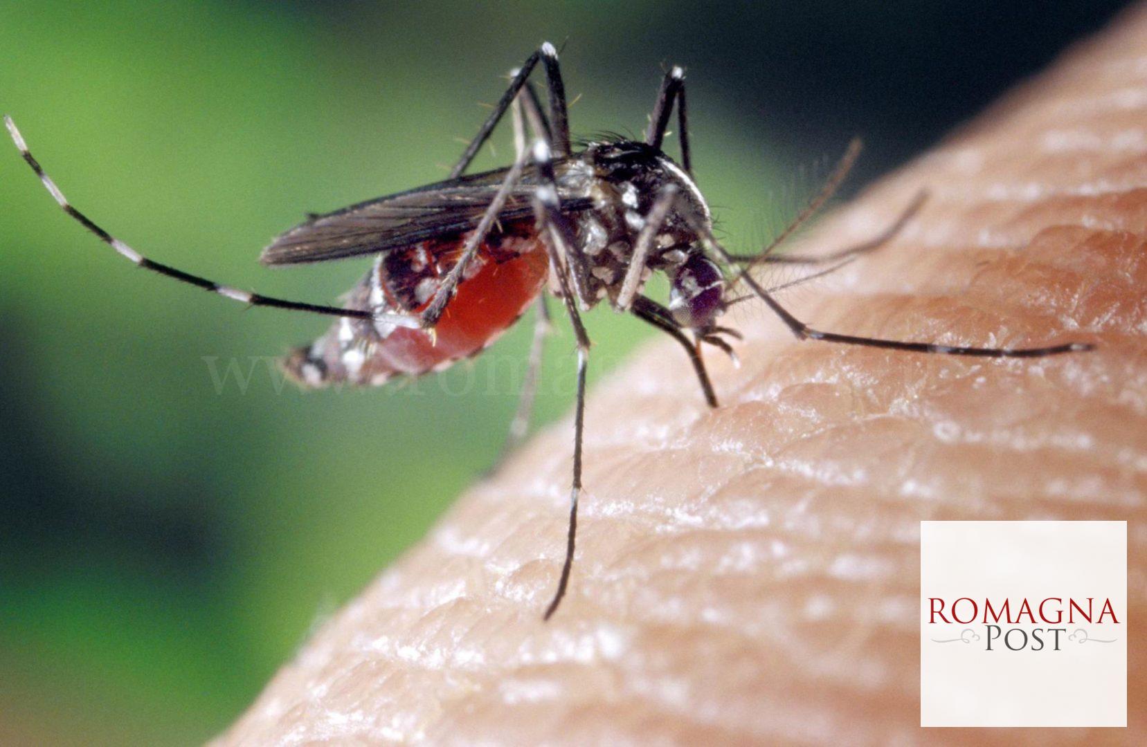 west-nile-kx2D-U46060129686240152D-3000x1956@CorriereVeneto-Web-Veneto-2-scaled