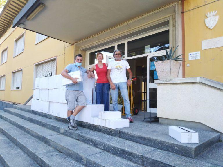 FOTO-COMUNICATO-BUTTERFLY-PASTA