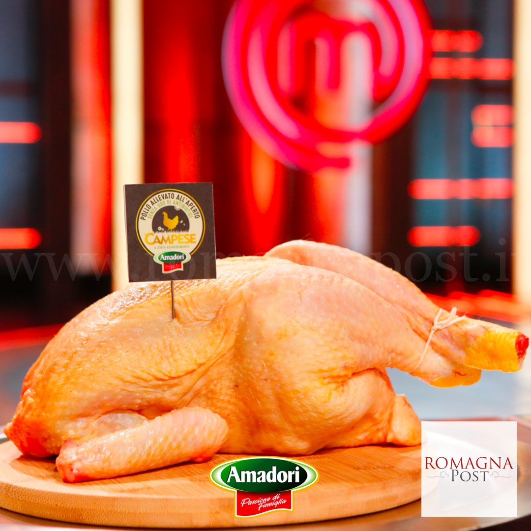 Amadori_-Masterchef_02 (1)