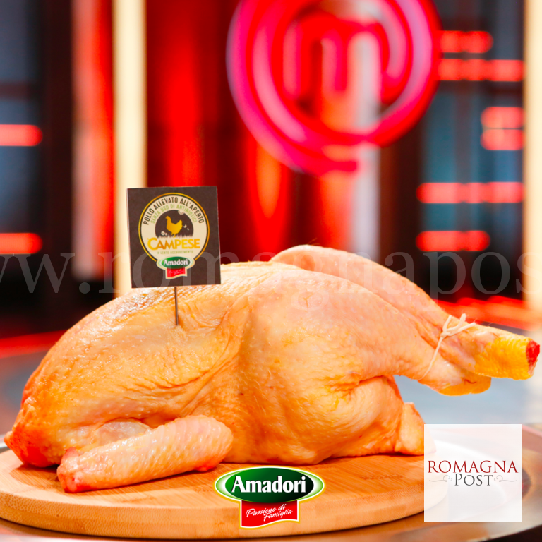 Amadori_-Masterchef_02 (1)