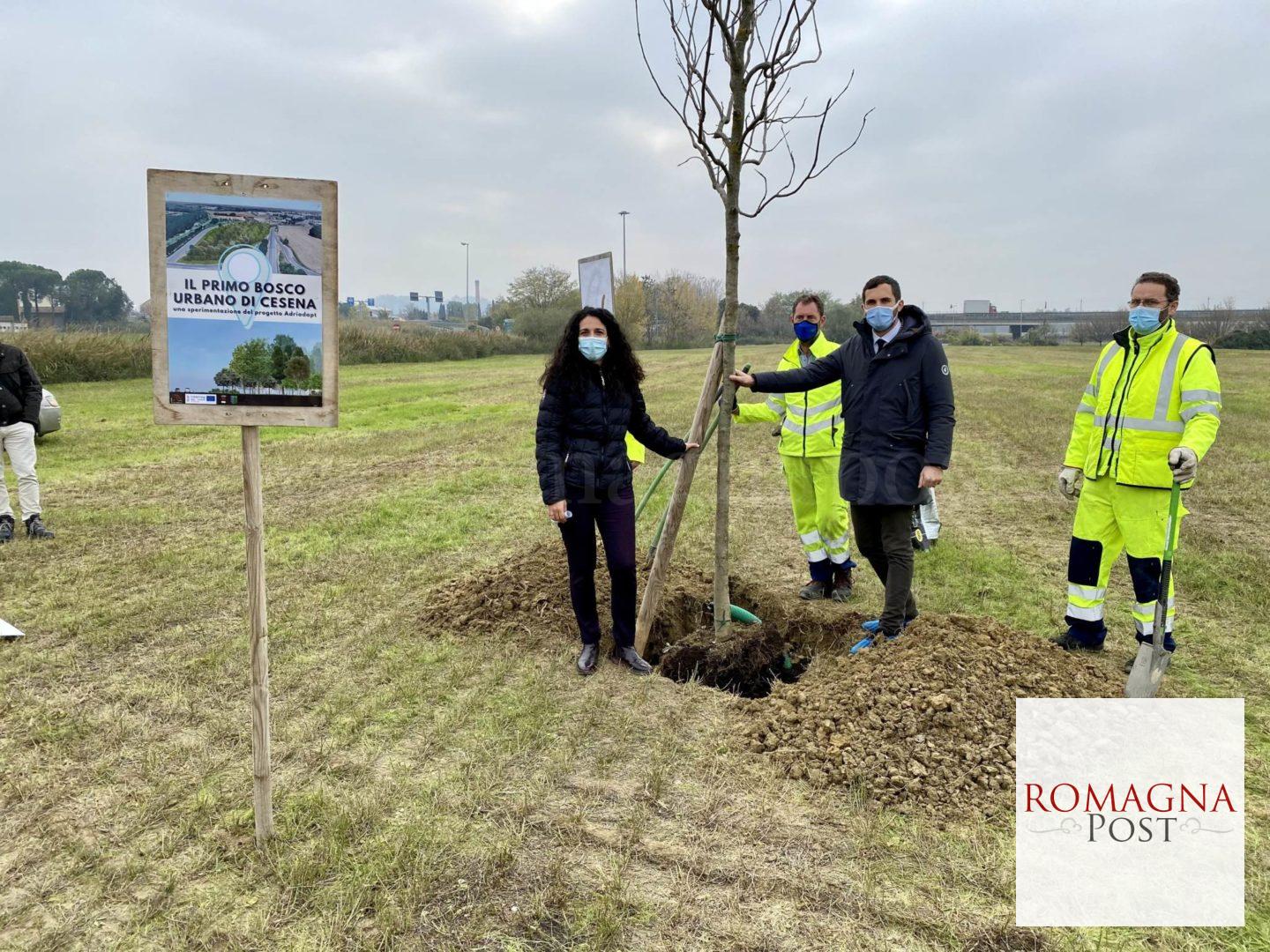 Bosco urbano di Cesena (2) (2)