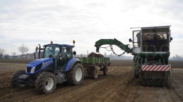agricoltura