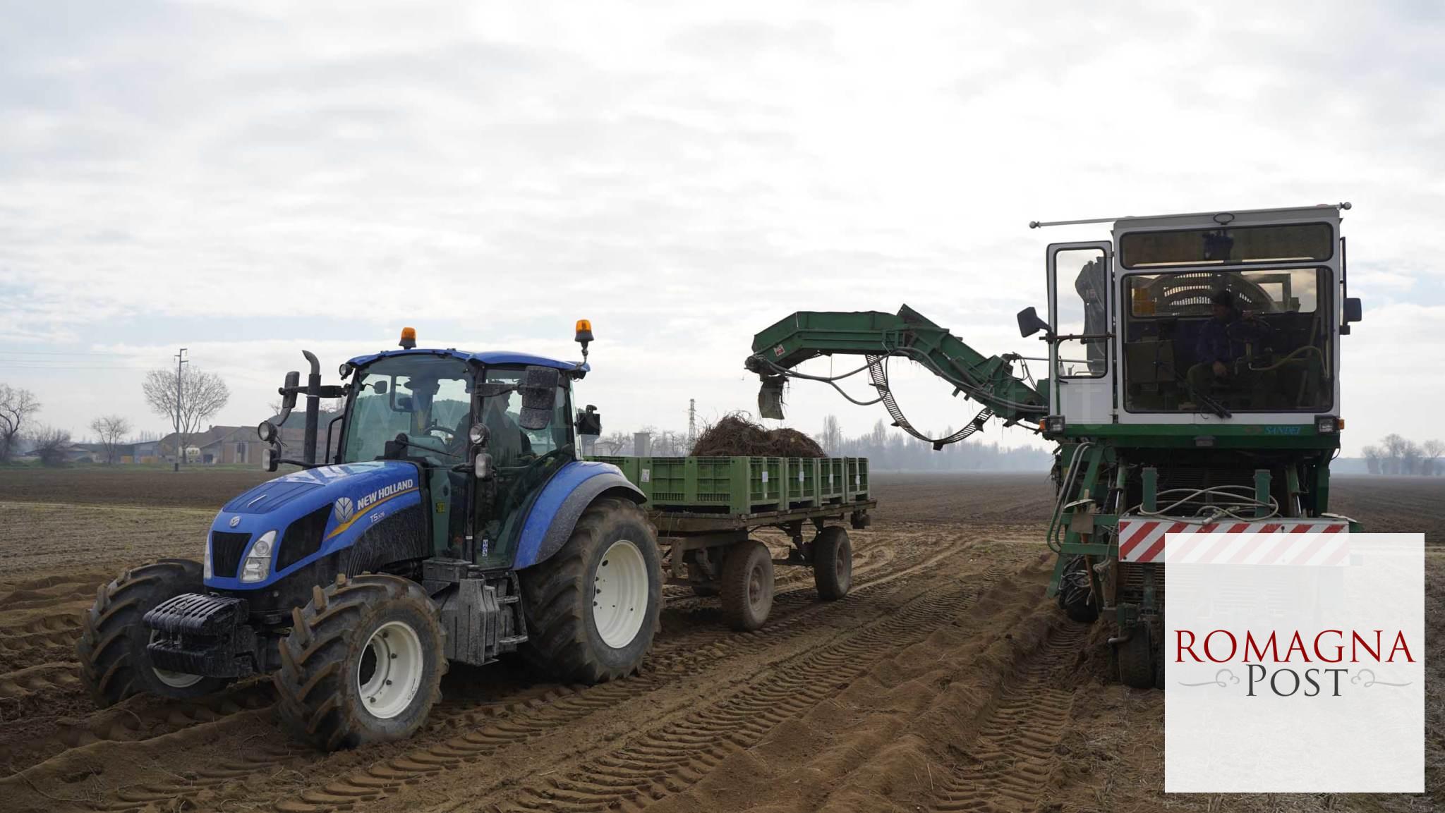 agricoltura