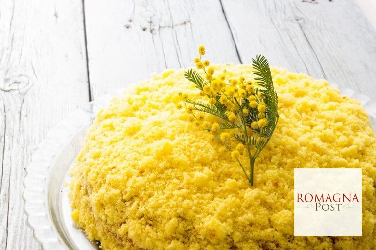 mimosa-768x512