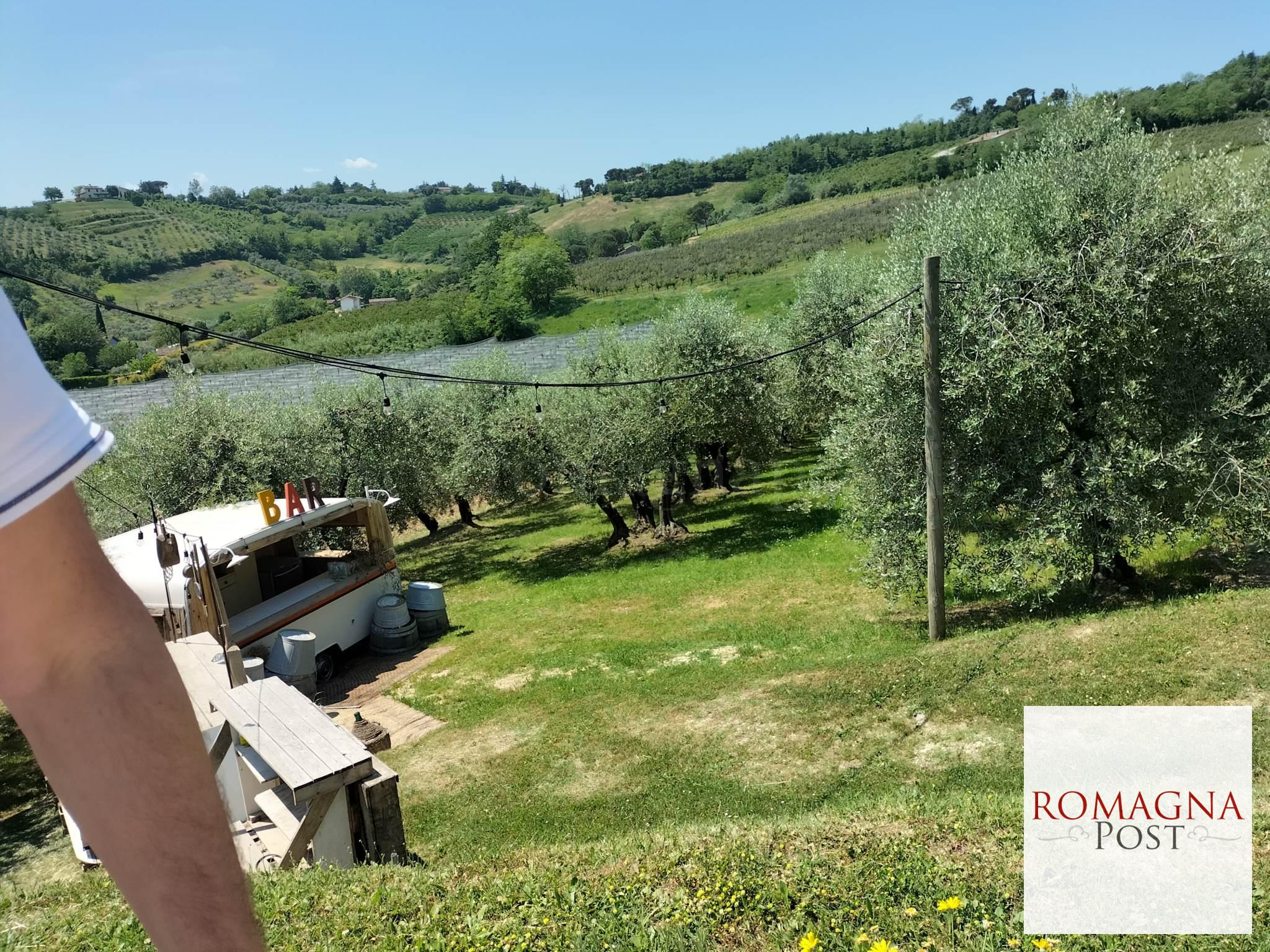 terre di giunchi