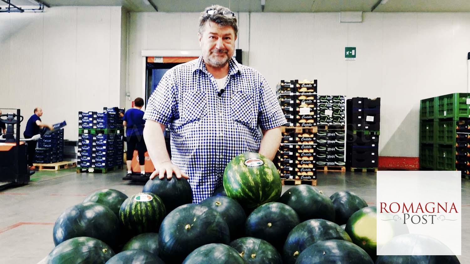 Magazzino Ortofrutta Castello