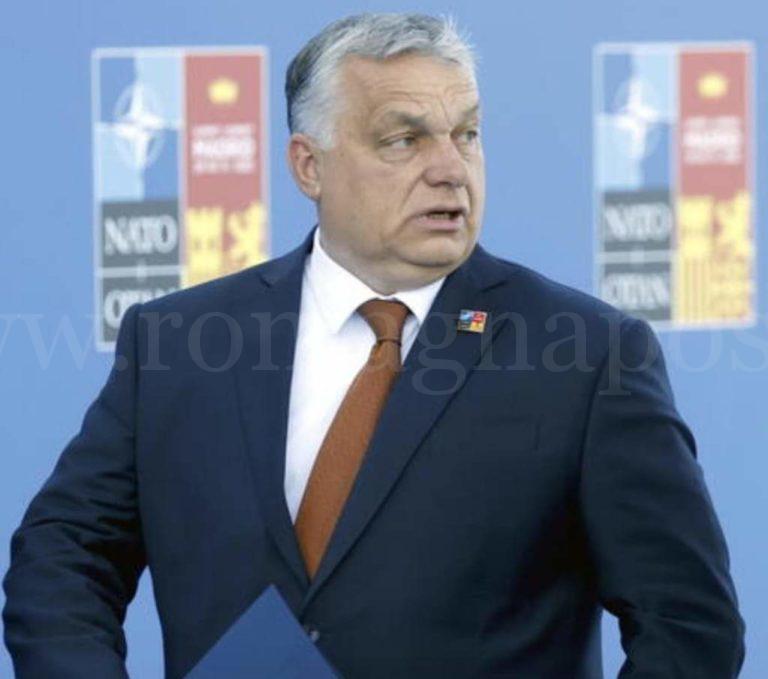 FB_IMG_1659002755629