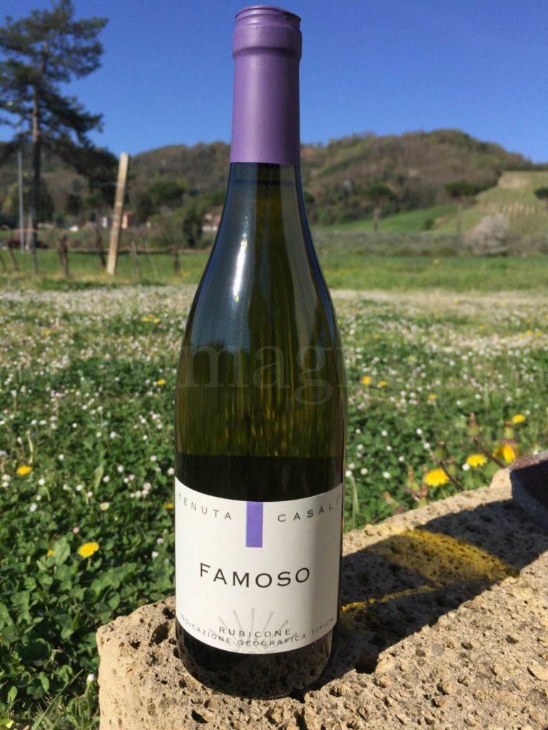 Vino Famoso Tenuta Casali