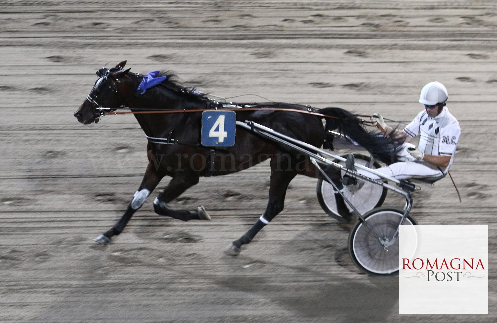 ippodromo palo arrivo quinta corsa