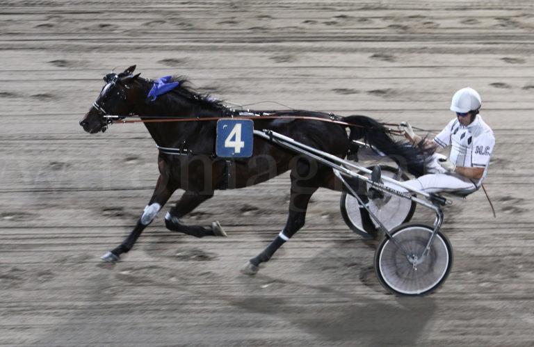 ippodromo palo arrivo quinta corsa