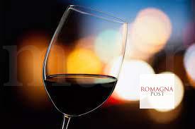 vino san clemente