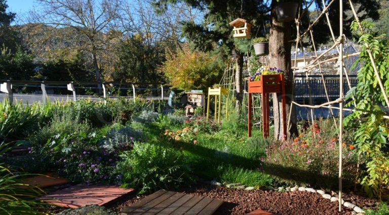 oasi e bug hotel_nov2022PIC