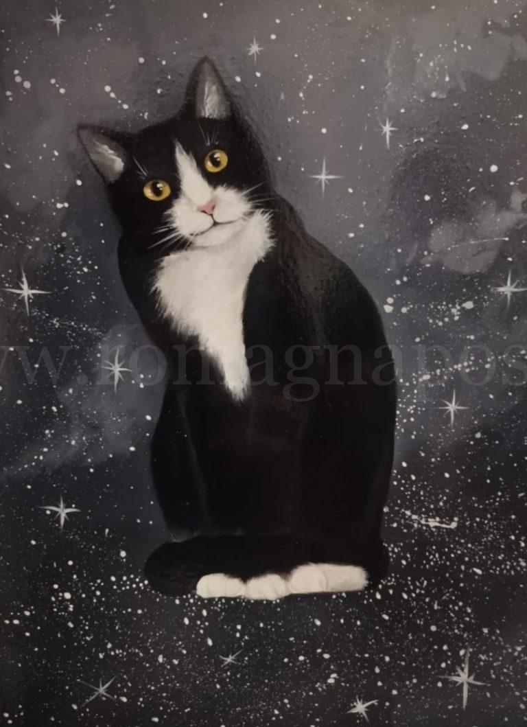 GATTO-SPAZZOLI