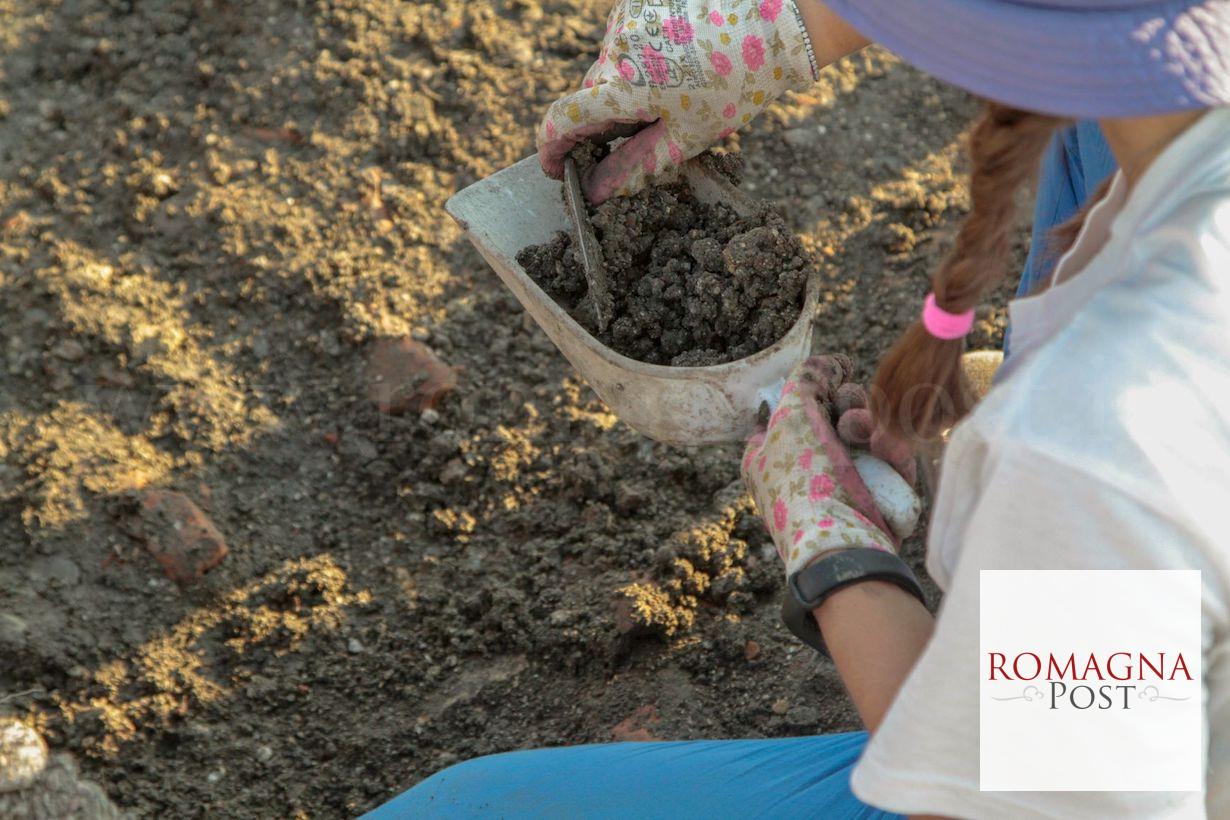 scavi ridim ph Manuela guarnieri