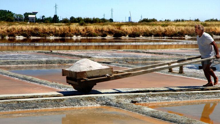 un-momento-della-raccolta-del-sale-a-cervia-nelle-saline-2