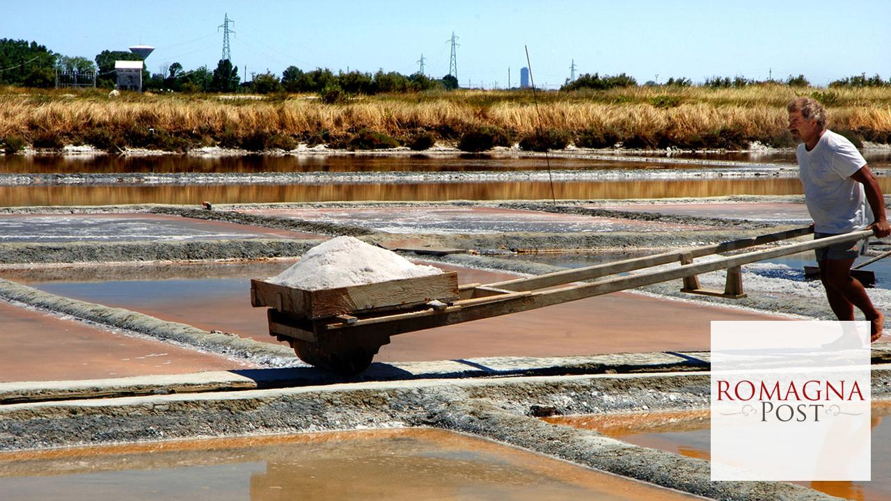 un-momento-della-raccolta-del-sale-a-cervia-nelle-saline-2