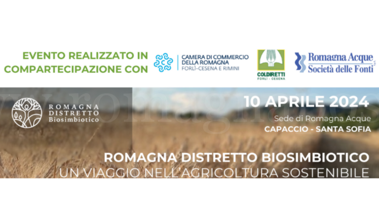 copertina romagna post