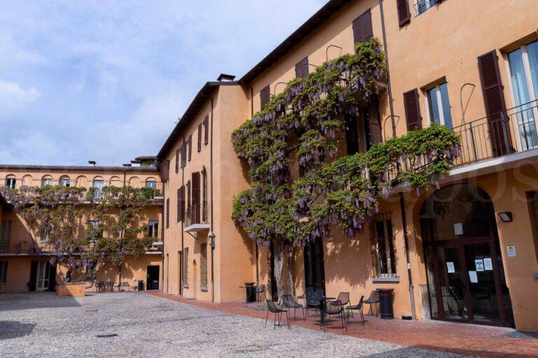 Glicini-Palazzo-Sassi-Masini