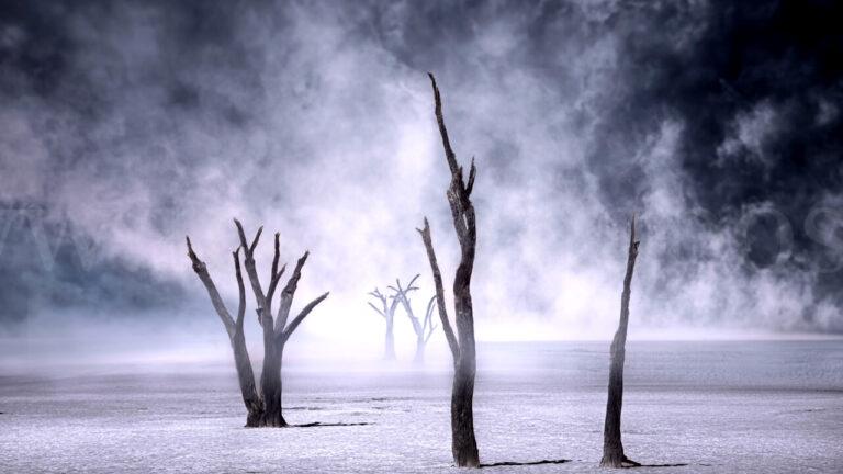 elisa-tongiani-fotografa-8-2