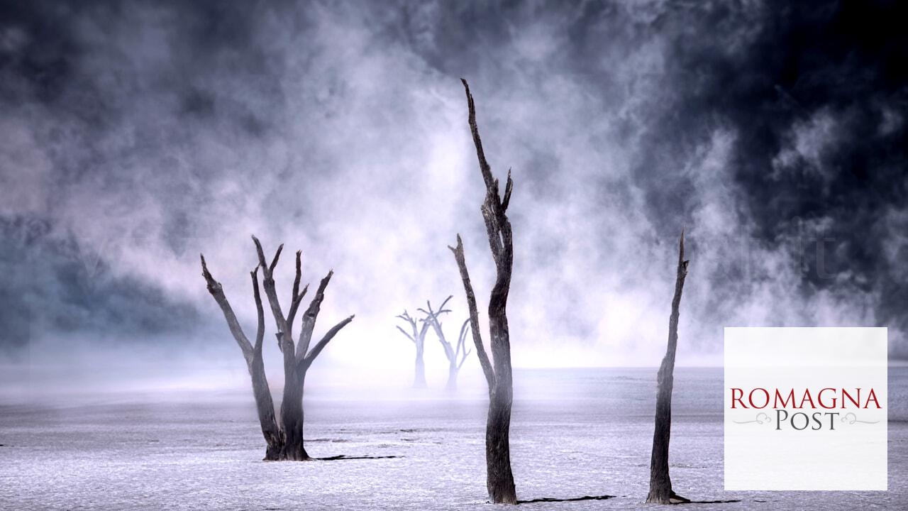 elisa-tongiani-fotografa-8-2