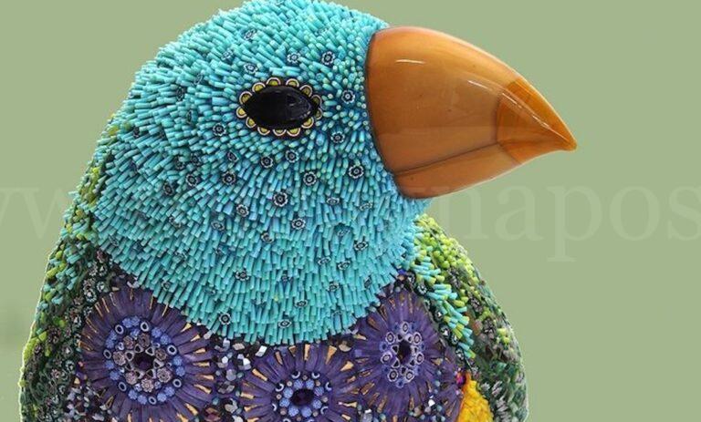 24-06-11 DUSCIANA BIRD