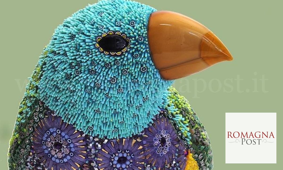 24-06-11 DUSCIANA BIRD