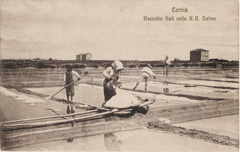 1. 1908.Cervia. Raccolta sali nelle R.R. saline_